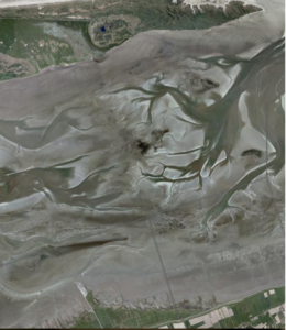 Wadlopen friese wad