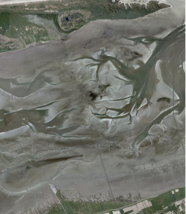 Wadlopen Friese wad