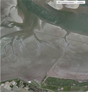 Wadlopen Friese wad