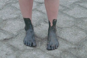 Wadlopen Friese wad