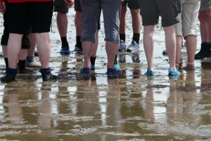 Wadlopen Friesewad