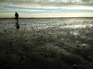Wadlopen Friese Wad