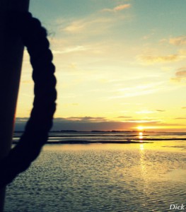 Wadlopen Friese wad