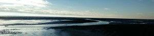Wadlopen Friese Wad