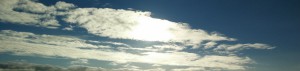 Wadlopen Friese wad