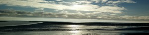 Wadlopen Friese wad