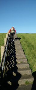Wadlopen Friese wad