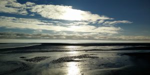Wadlopen Friese wad