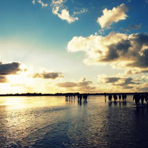 Wadlopen Friese wad