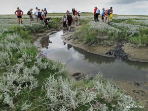 wadlopen