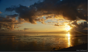 Wadlopen Friese Wad