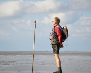 Wadlopen Friese wad