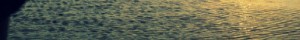 Wadlopen Friese Wad