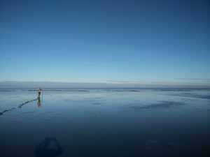 Friesland