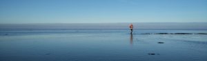 Wadlopen Friese wad