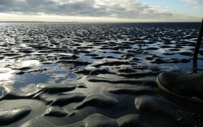 Veranderingen Eilanderbult plaat