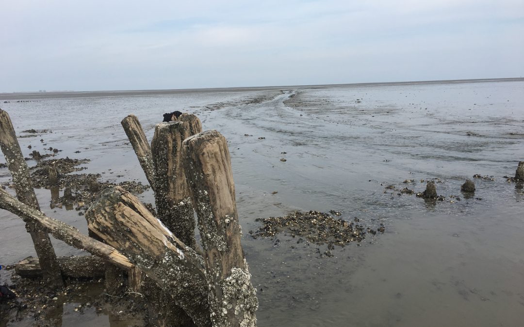 Knisperen van het wad